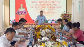 Đồng chí Ngô Hạnh Phúc làm việc với phường Nam Cường và phường Văn Phú