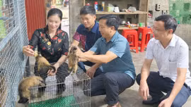Đảng viên đi trước, Suối Bu đổi thay