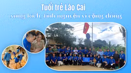 Tuổi trẻ Lào Cai xung kích, tình nguyện vì cộng đồng