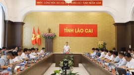 Lào Cai tăng cường quản lý đất có nguồn gốc nông, lâm trường