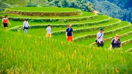 Lào Cai ban hành kế hoạch về phát triển du lịch thông minh