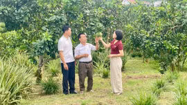 Văn hóa Đảng, văn hóa công vụ bắt đầu từ trách nhiệm với Nhân dân