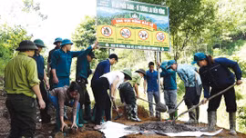 Nghĩa Tâm chủ động phòng, chống cháy rừng từ sớm, từ xa