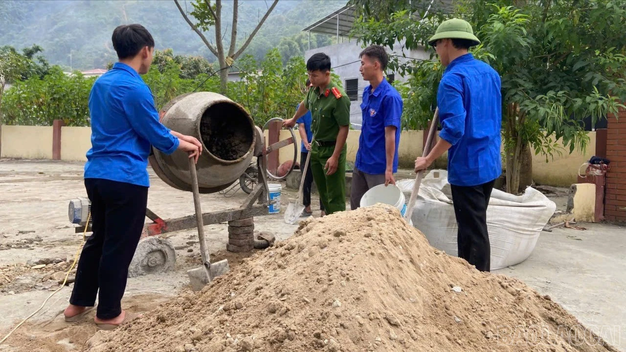 baolaocai-br_z7283404005436-cc52b1bef1c983c552f3214474700752-9007.jpg