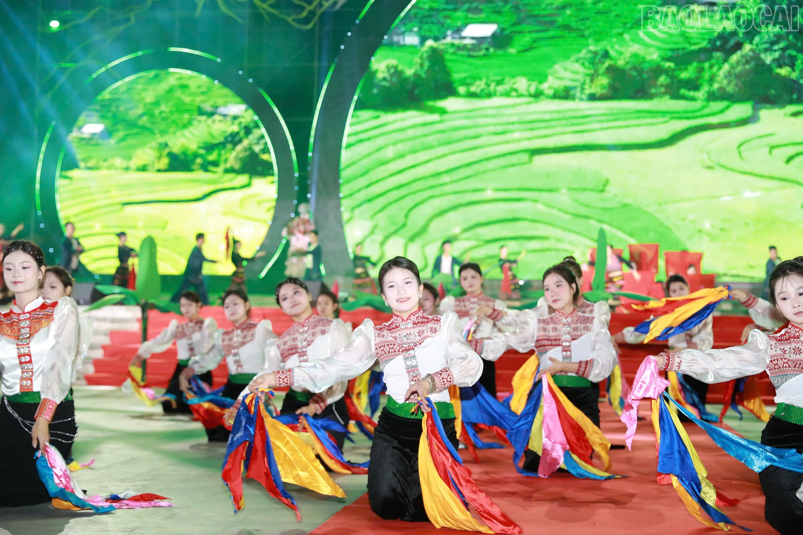 baolaocai-tr_1787494902488-7405480611750317700-7405480611750317700-e3bd53c288bd01facc7a536f5bf2986e.jpg