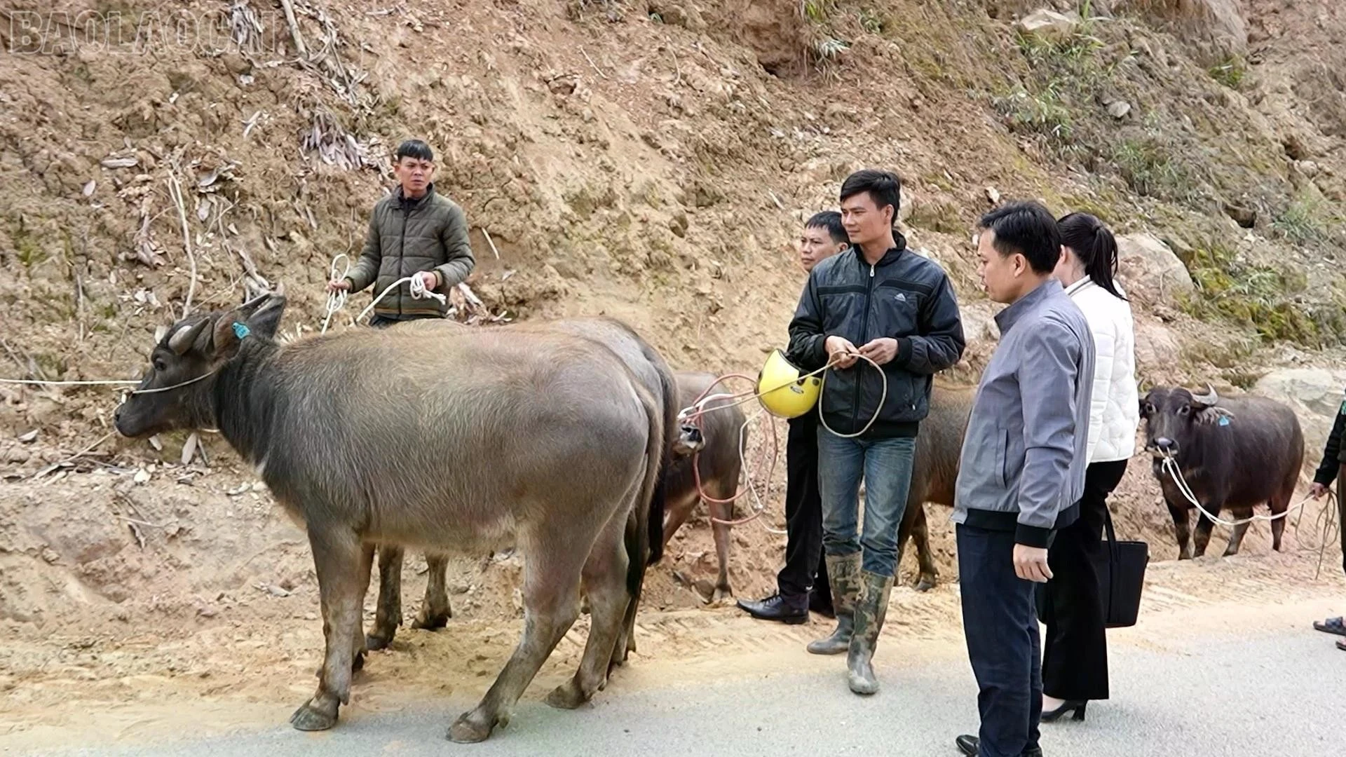 giam-ngheo-3.jpg