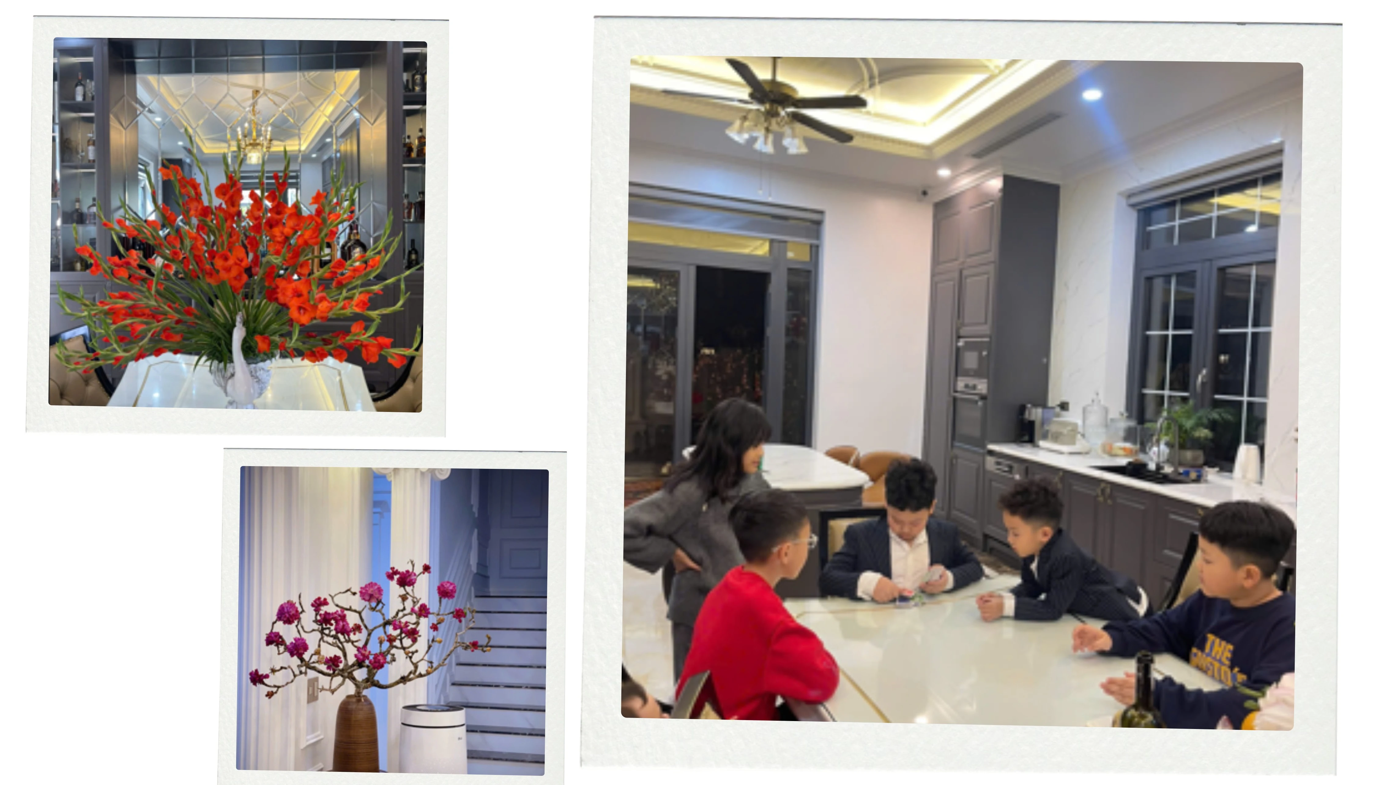 untitled-design-5.png
