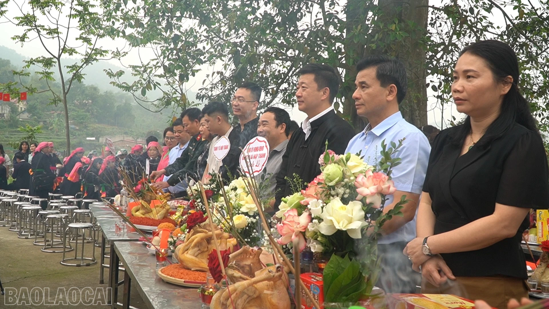 baolaocai-bl_03203-3203.jpg