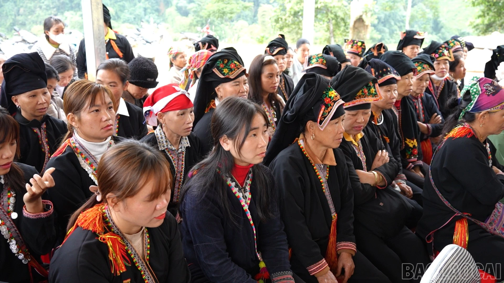 baolaocai-br_23-12-2025-chuyen-doi-so-00-04-36-19still010.jpg