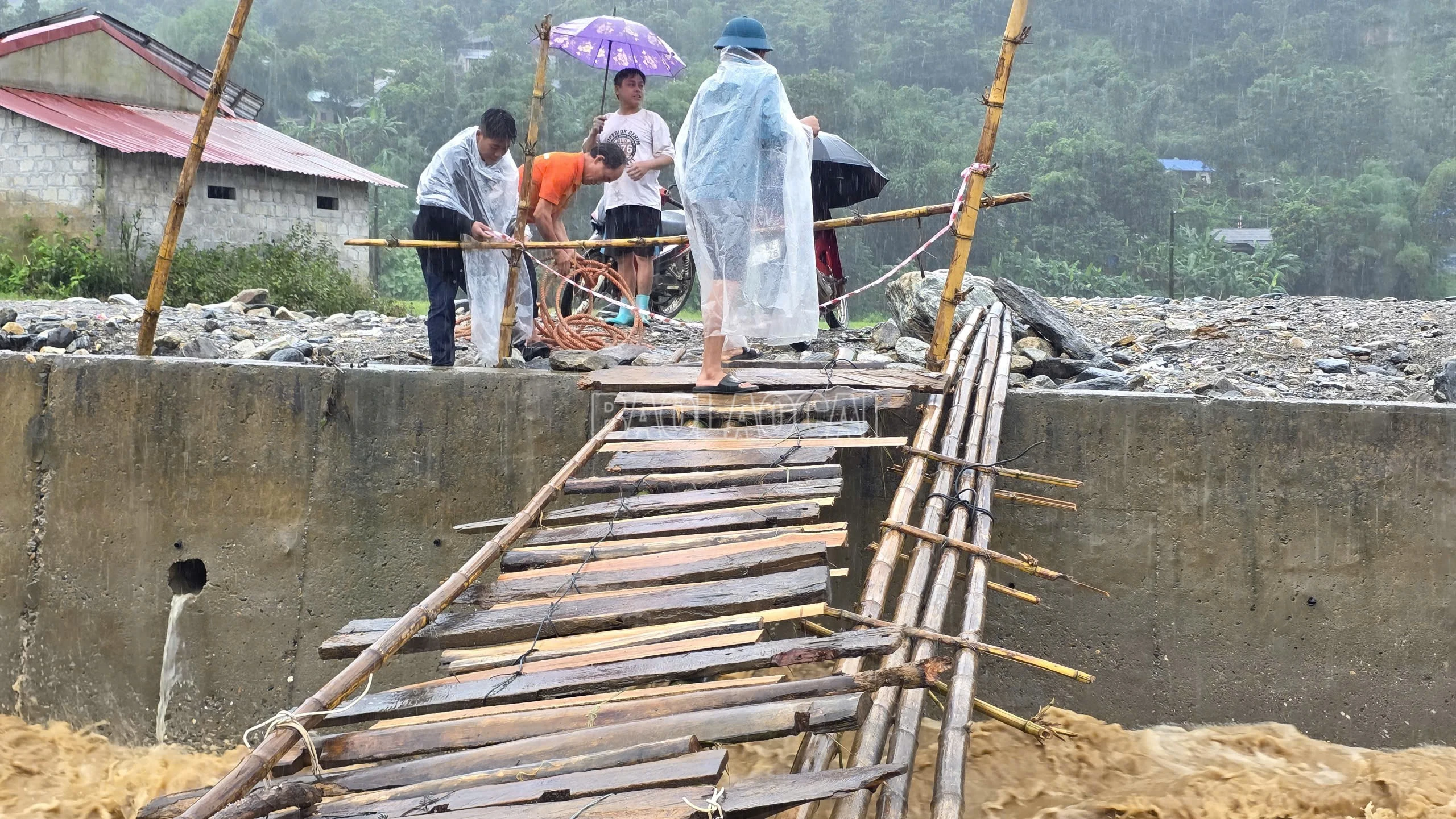 baolaocai-c_z7091081090079-6404829d5d0f74d9906ab421aa3e6528.jpg