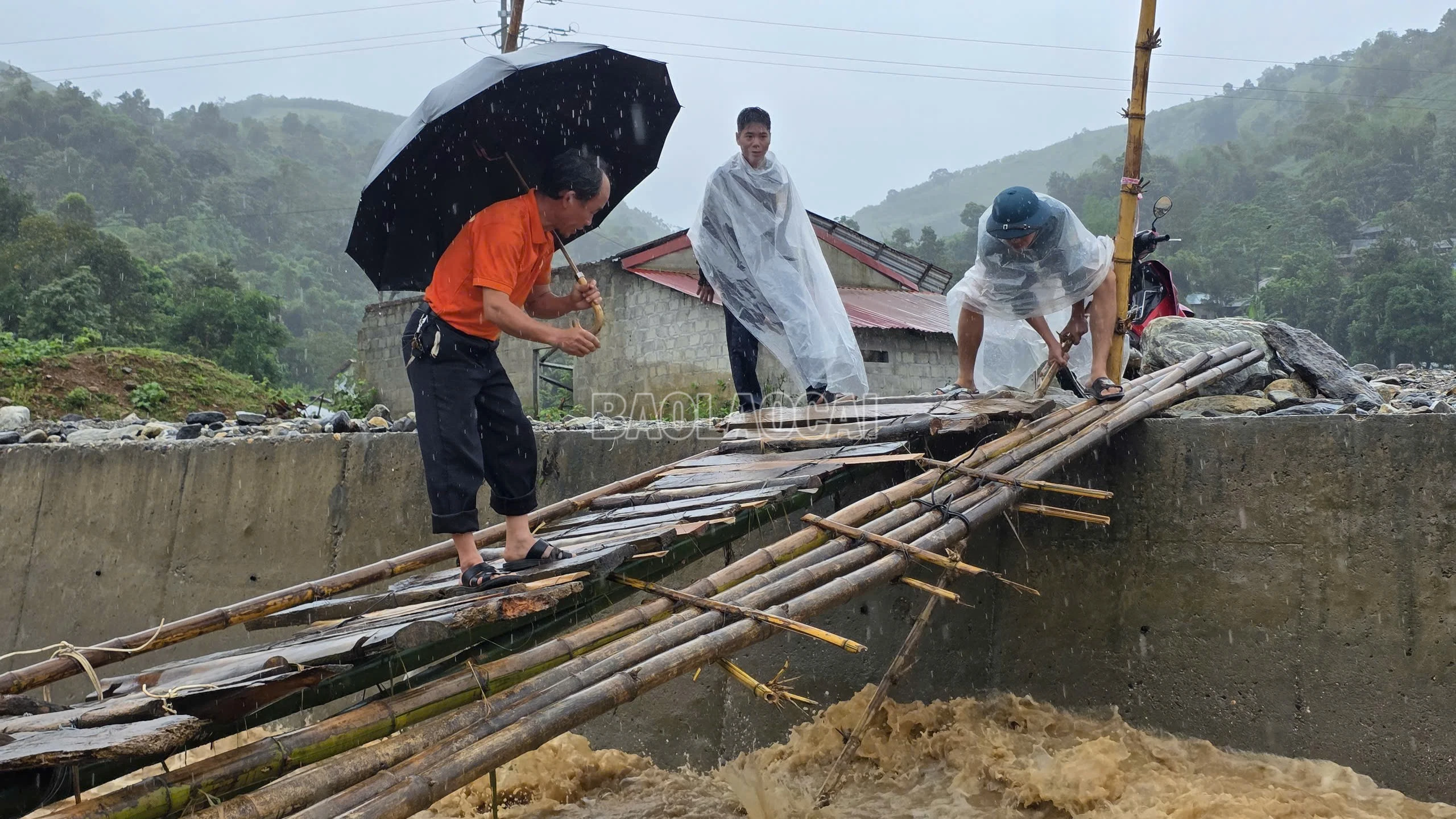 baolaocai-c_z7091081118323-0b523671a618faf73d15a8625f323874.jpg