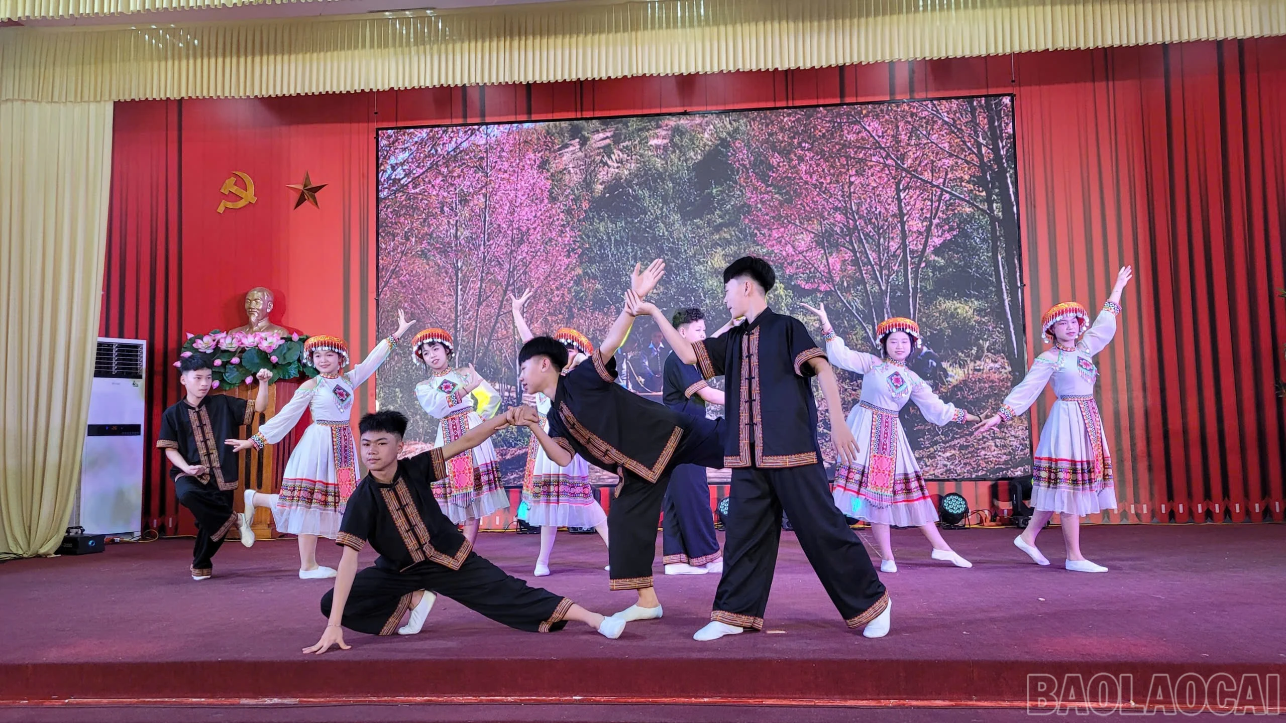 baolaocai-br_148909987202681776.jpg