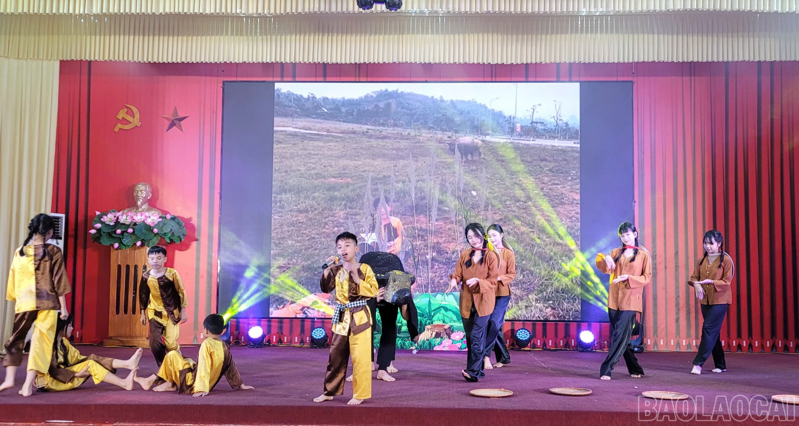 baolaocai-br_4490326427793769318.jpg