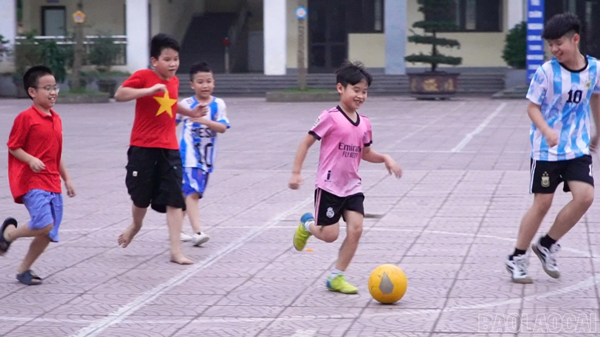 baolaocai-br_296922ac-9164-4812-a992-d06e3ac8b6bc.jpg