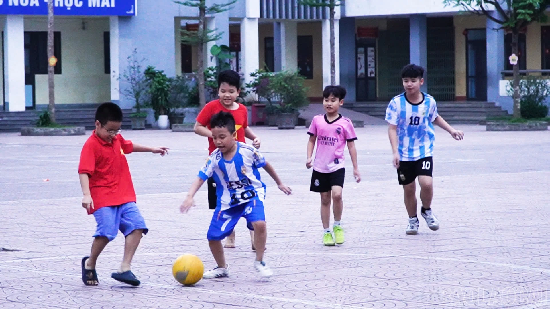 baolaocai-br_b44a50f9-7604-4e50-a0e0-b4d5b6089fc0.jpg