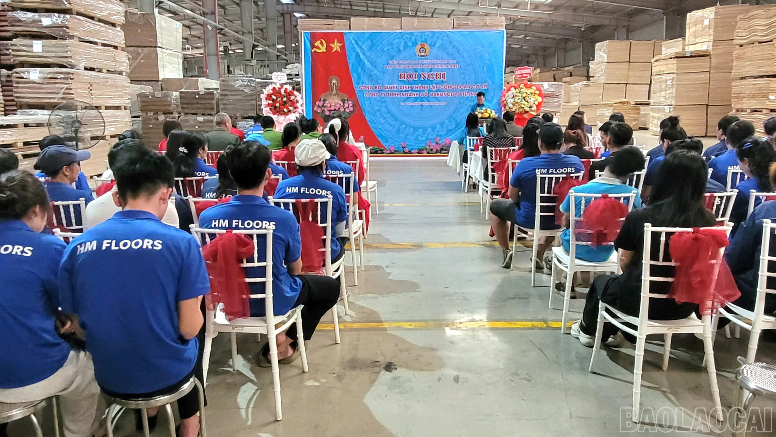 baolaocai-br_309ac0a8d17c5f22066d.jpg
