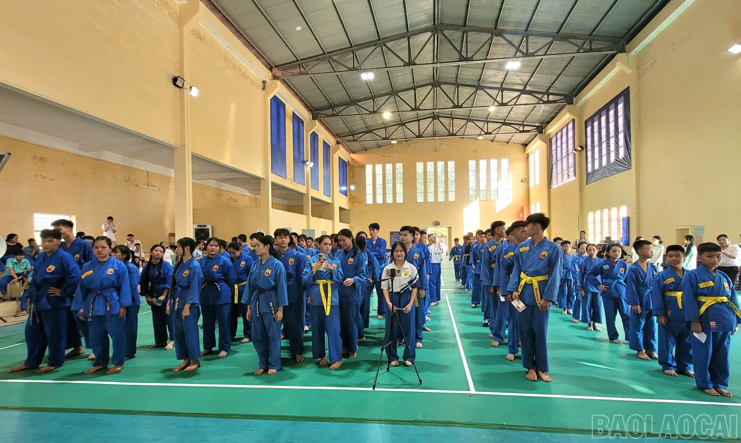 baolaocai-br_42e718de-700e-4e49-96c6-fcc283c680a5.jpg
