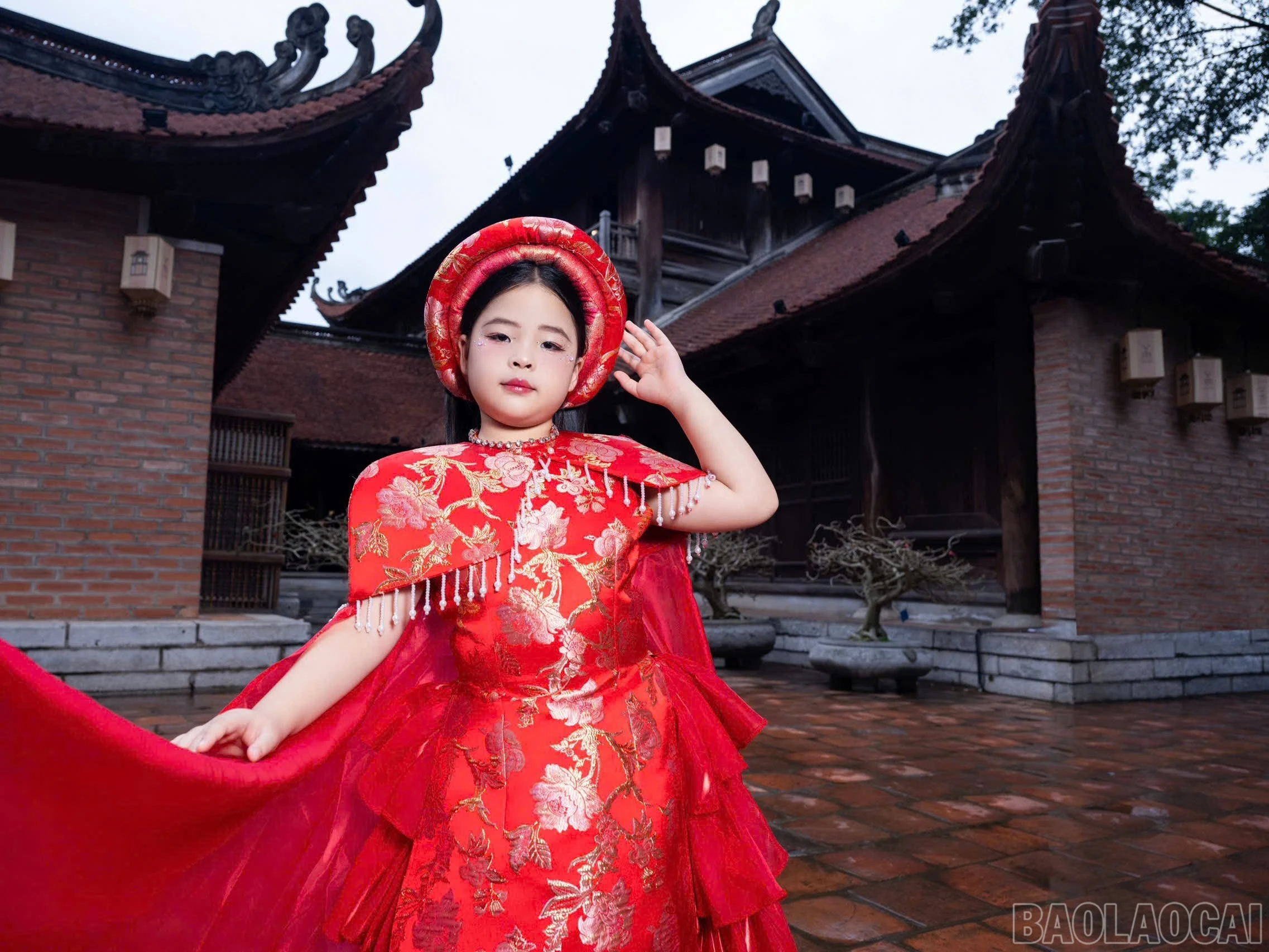 baolaocai-br_3847243512925470213.jpg
