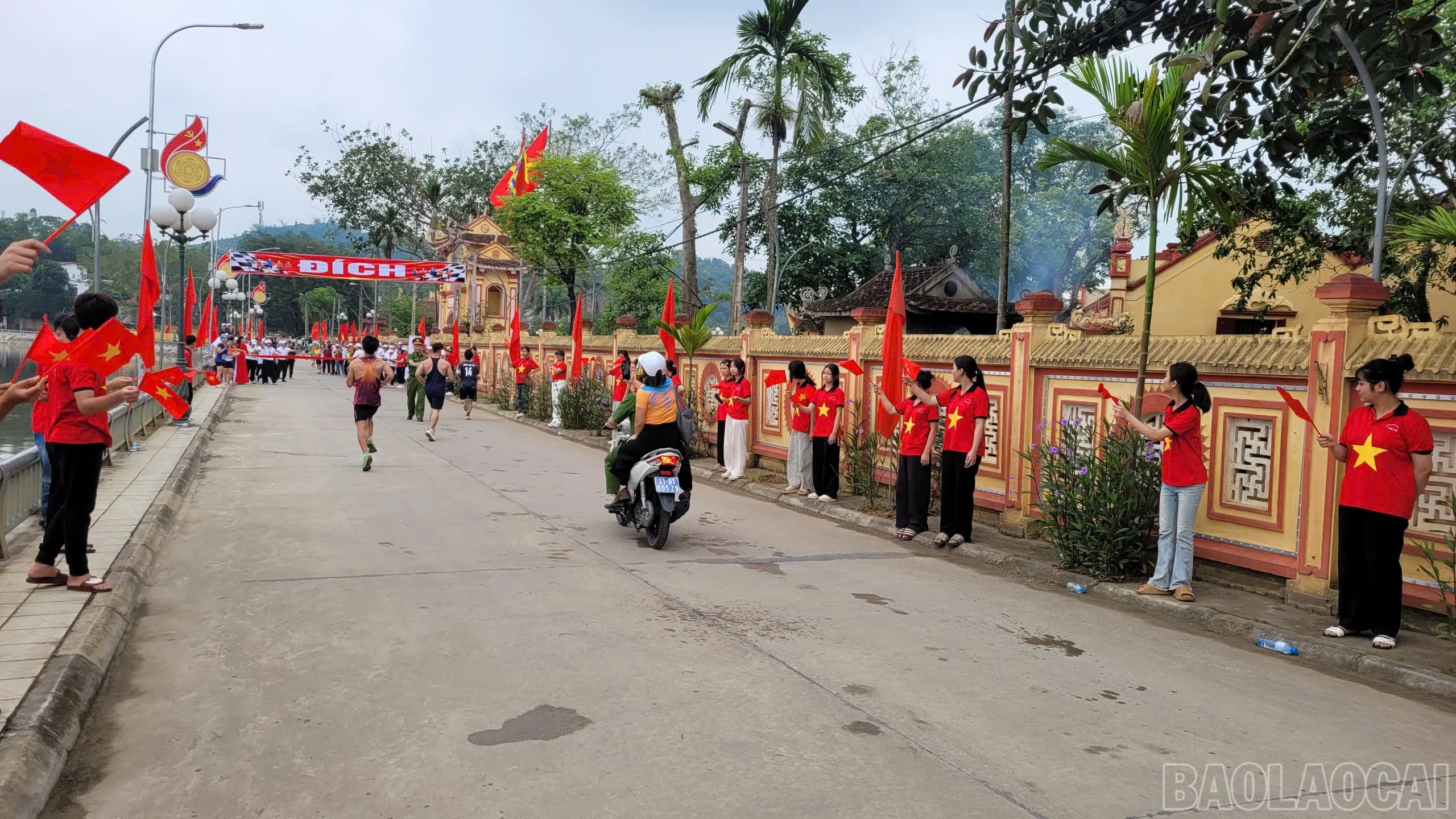 baolaocai-br_ea2d3dbd-2606-4981-8803-32bd7008546f-1.jpg