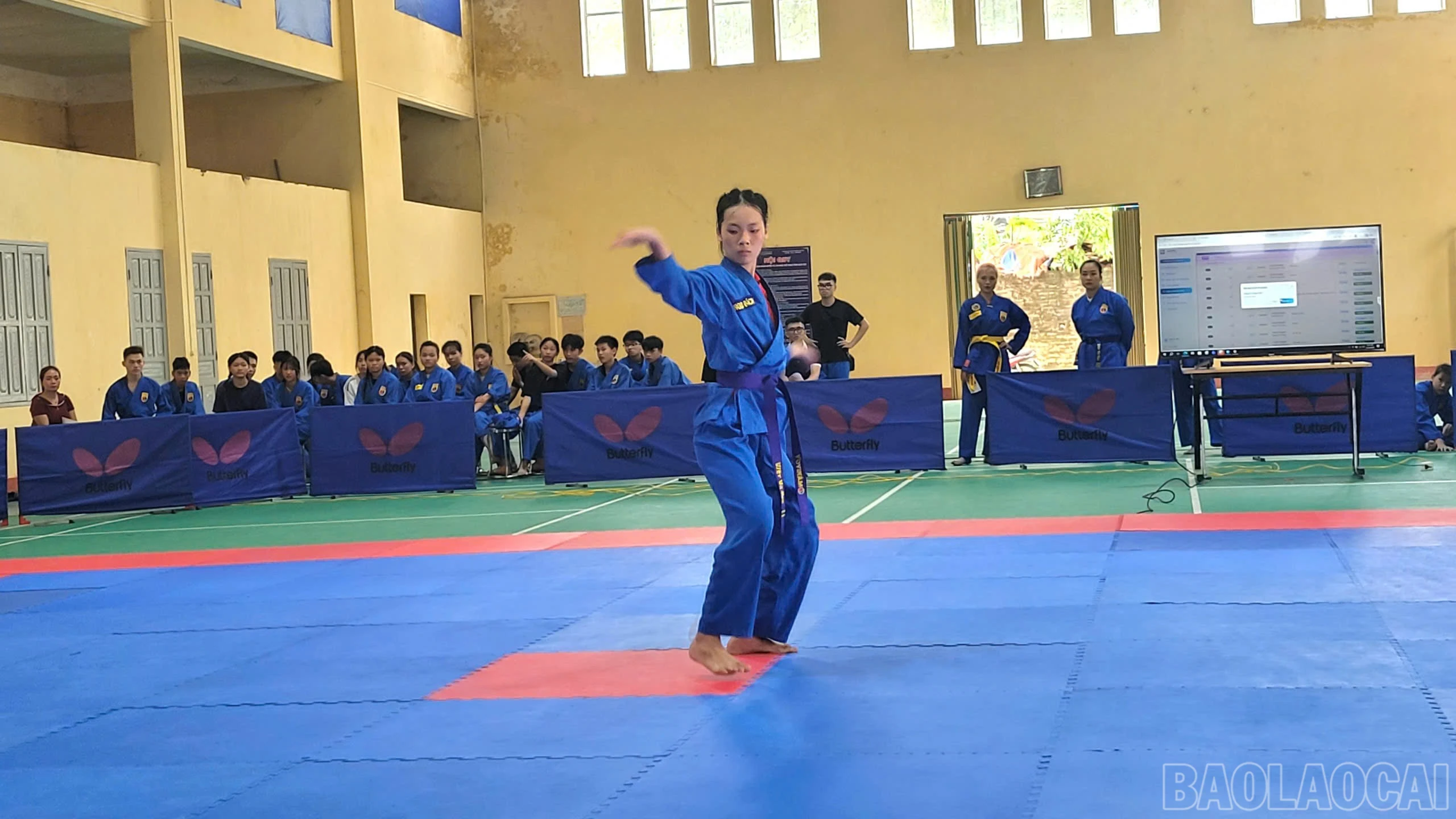 baolaocai-br_df970a90-1728-4383-b7dd-db05b25dc54b.jpg