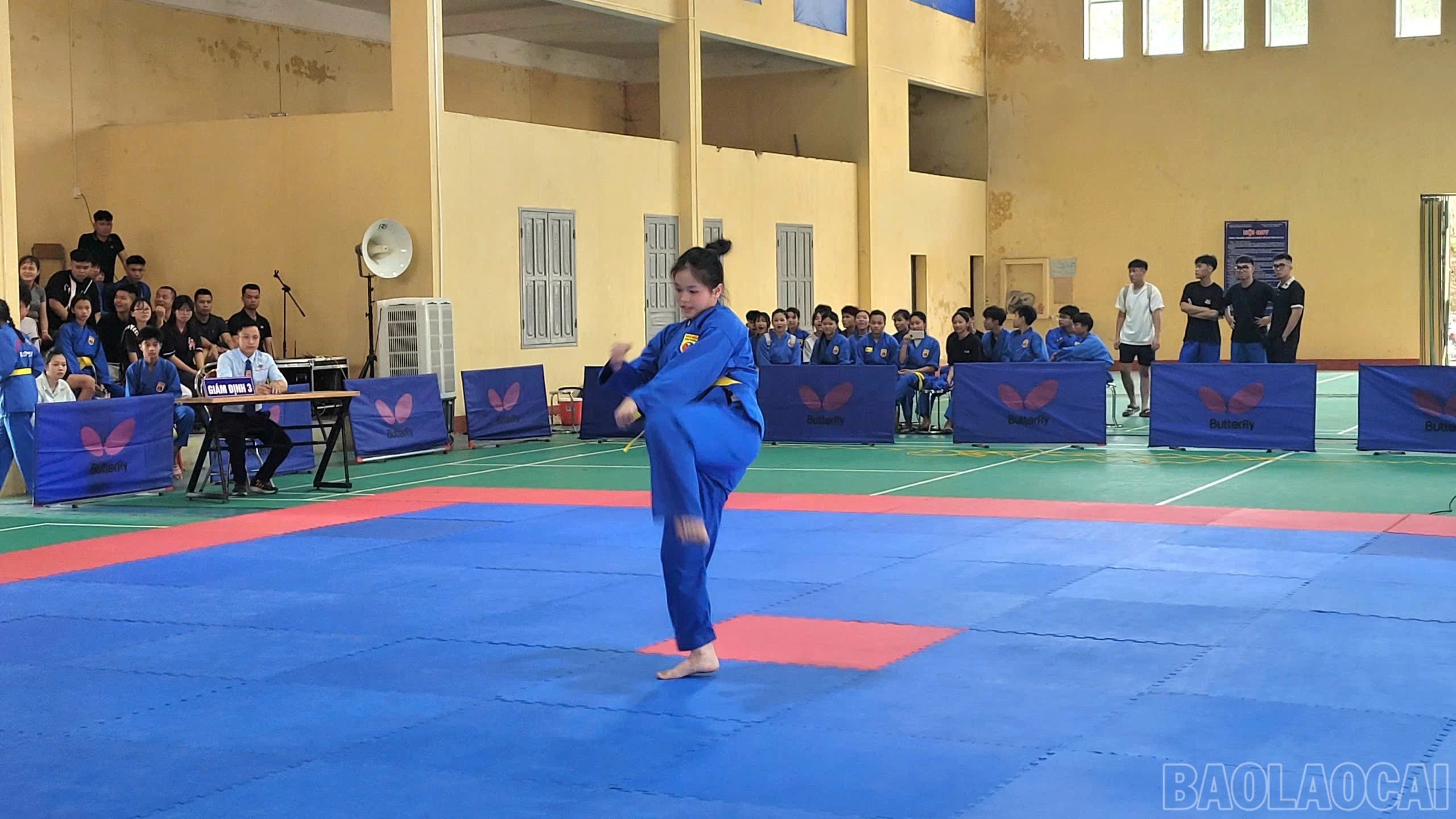 baolaocai-br_d80a7364-7521-46e7-bf8b-ed0a9cdfb45d.jpg