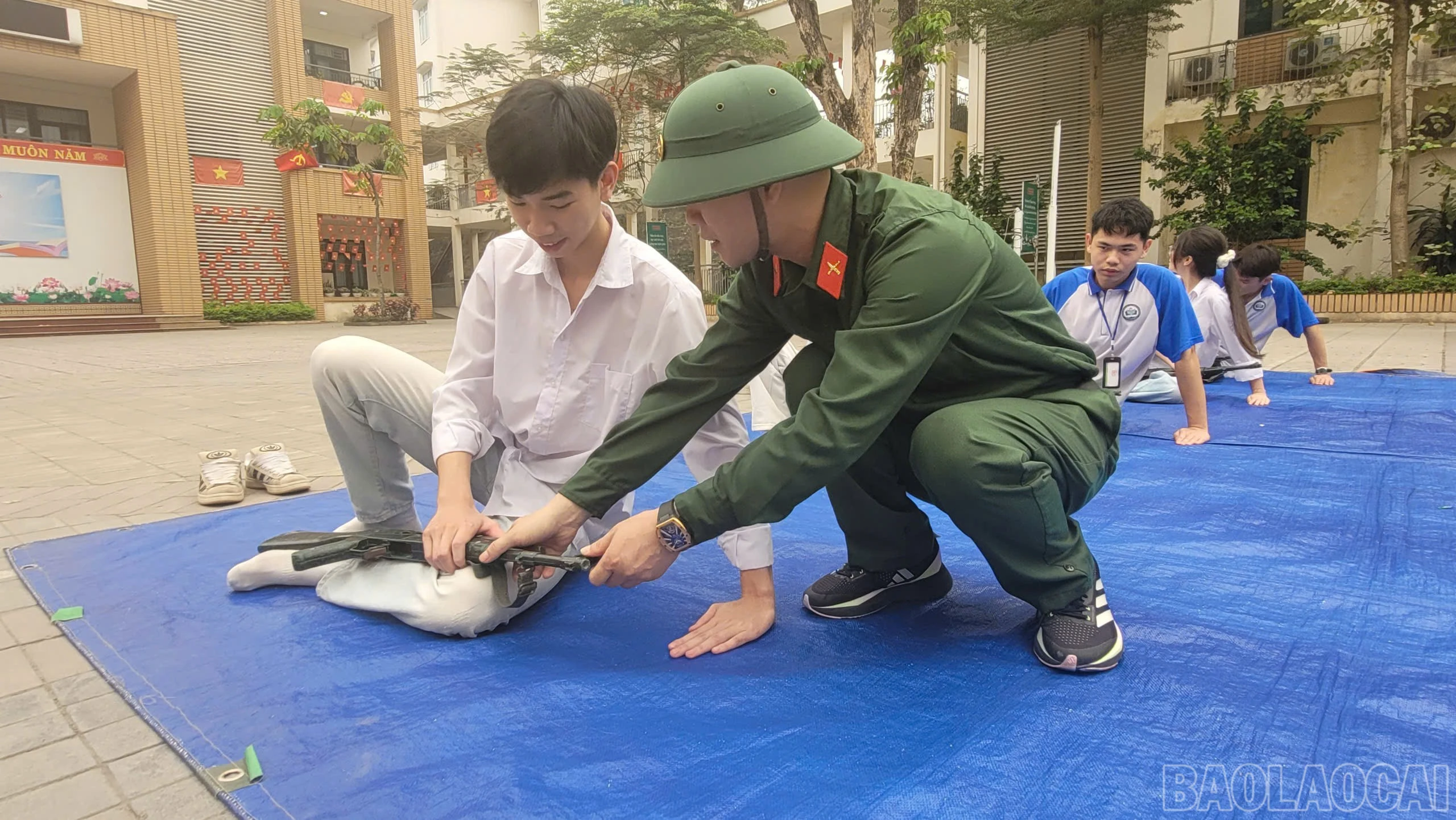 baolaocai-br_7cbc1950-640c-4566-9856-d1520cea0d95.jpg