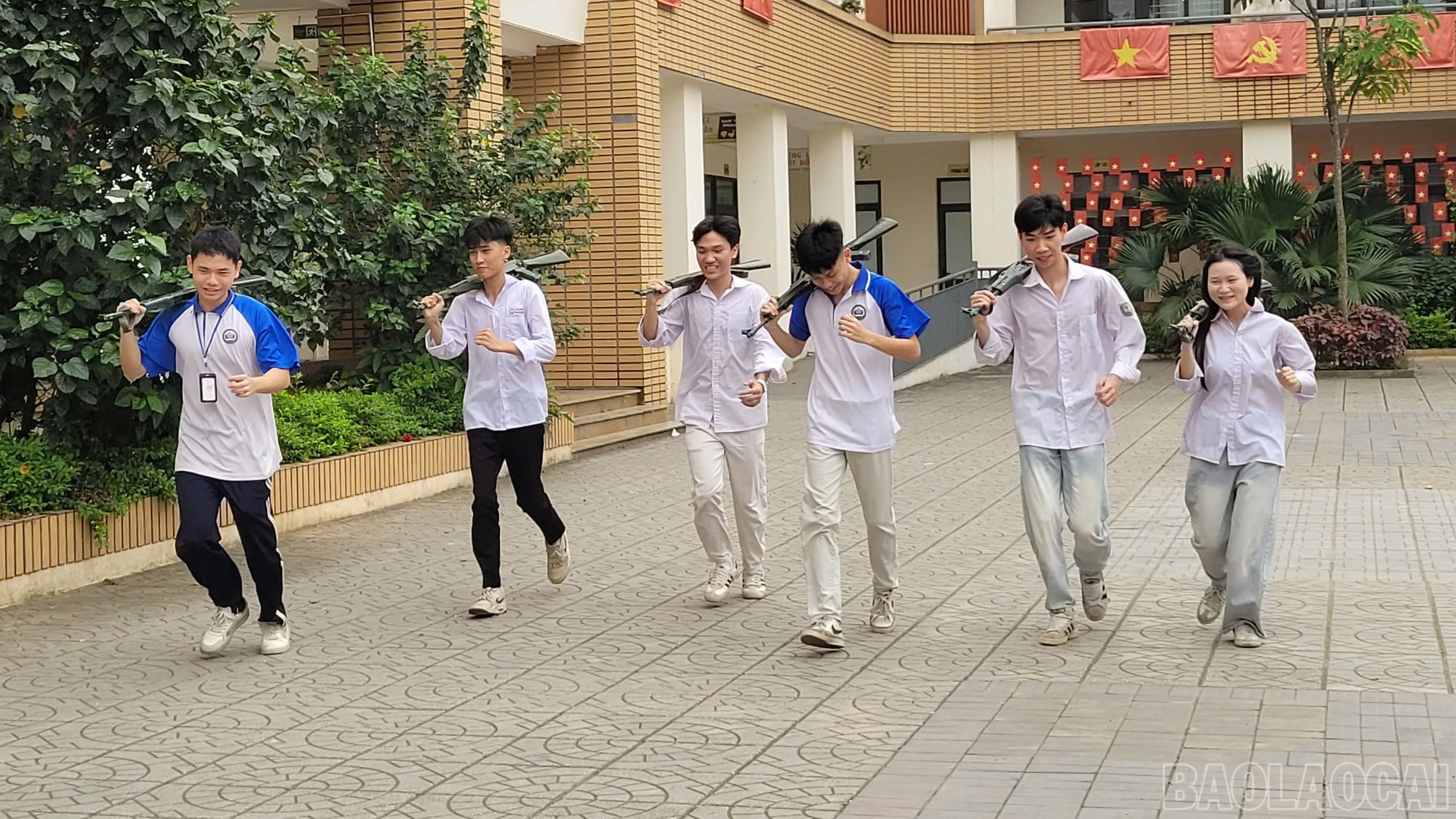 baolaocai-br_39778a93-cca6-4ca4-98e9-18a02ab9c9a0.jpg