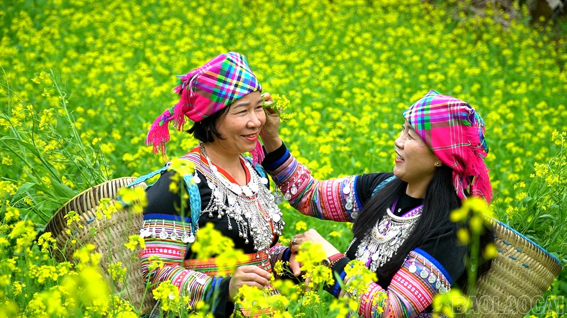 baolaocai-br_chuyen-muc00-04-58-09still082.jpg