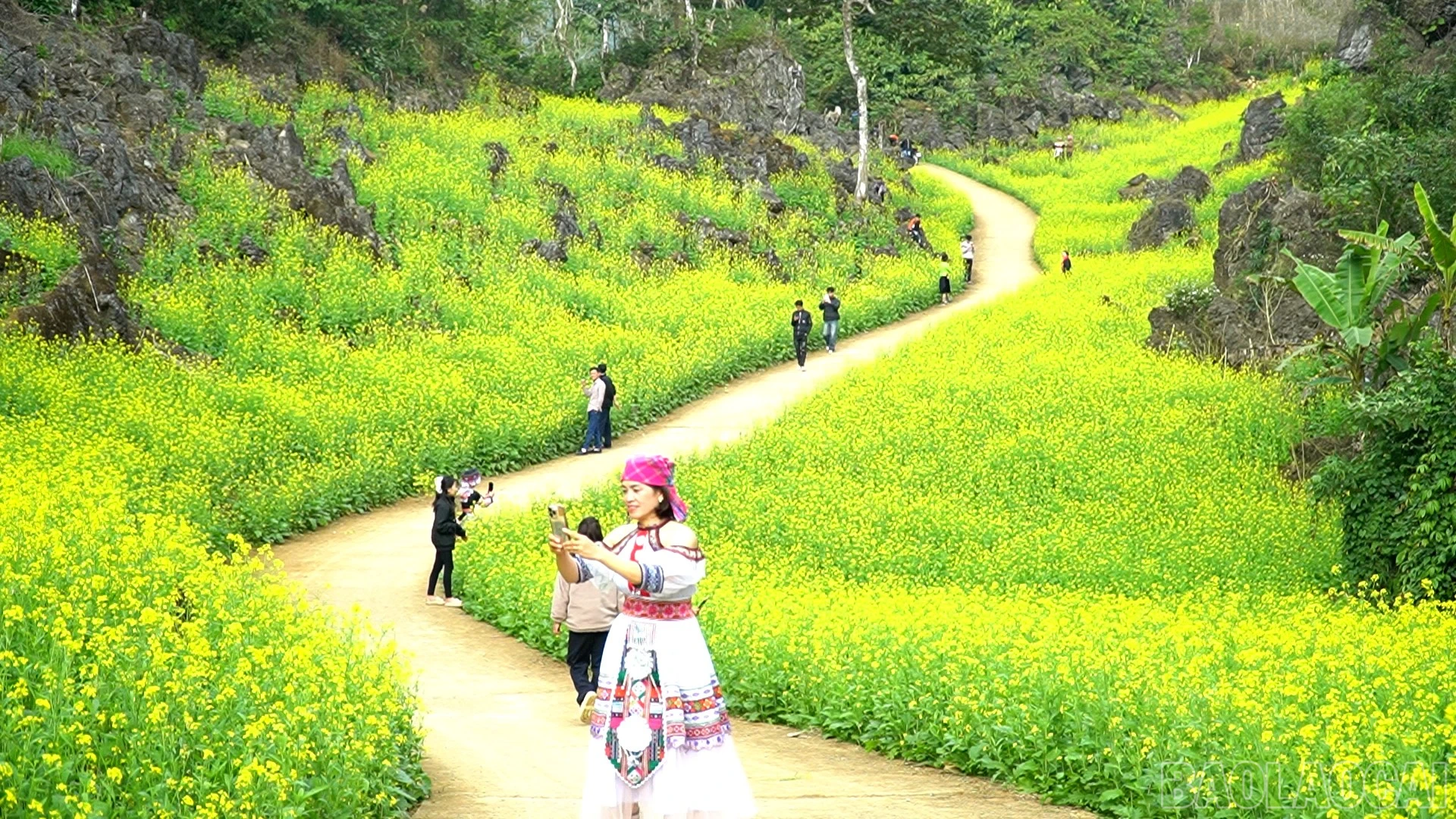 baolaocai-br_chuyen-muc00-00-04-17still069.jpg