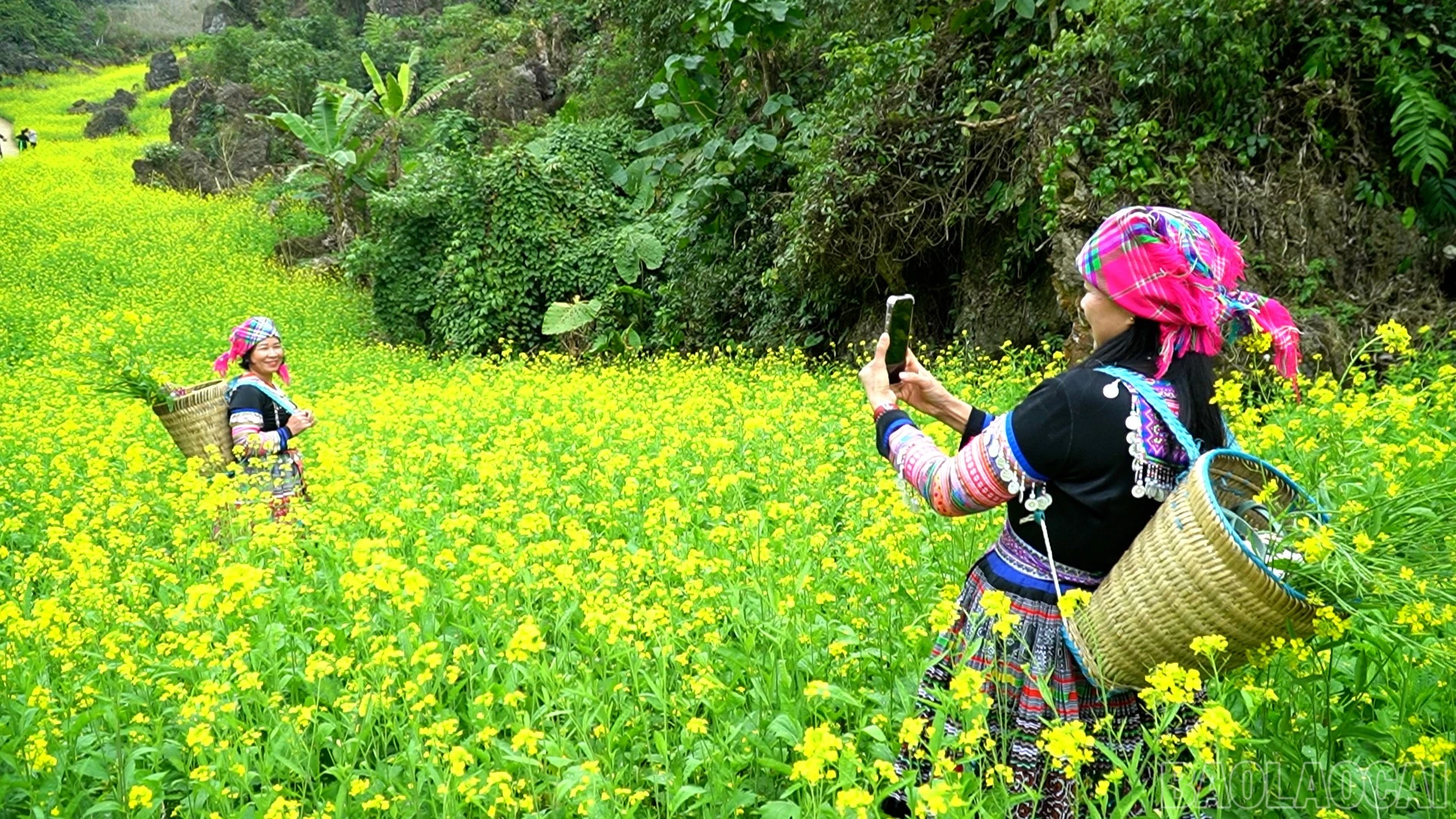baolaocai-br_chuyen-muc00-00-57-13still075.jpg