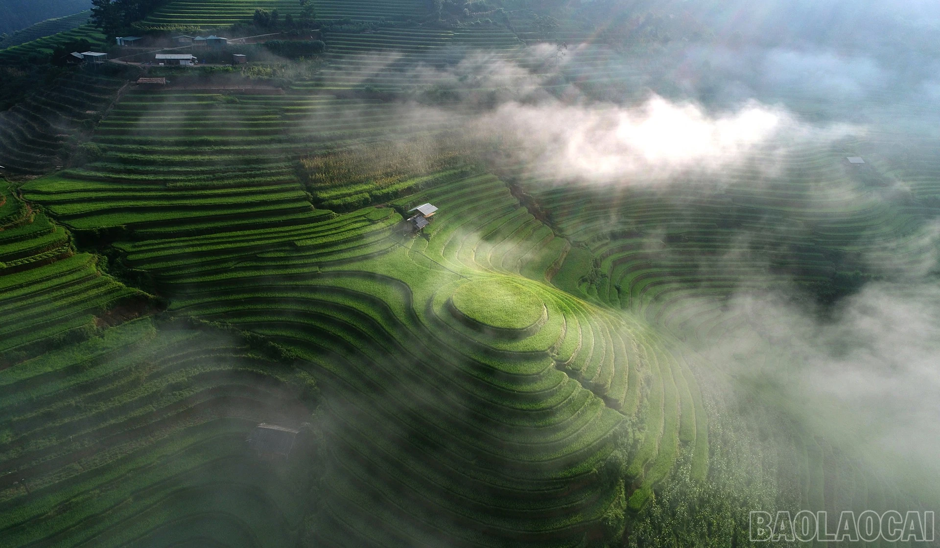 baolaocai-br_dji-0127.jpg