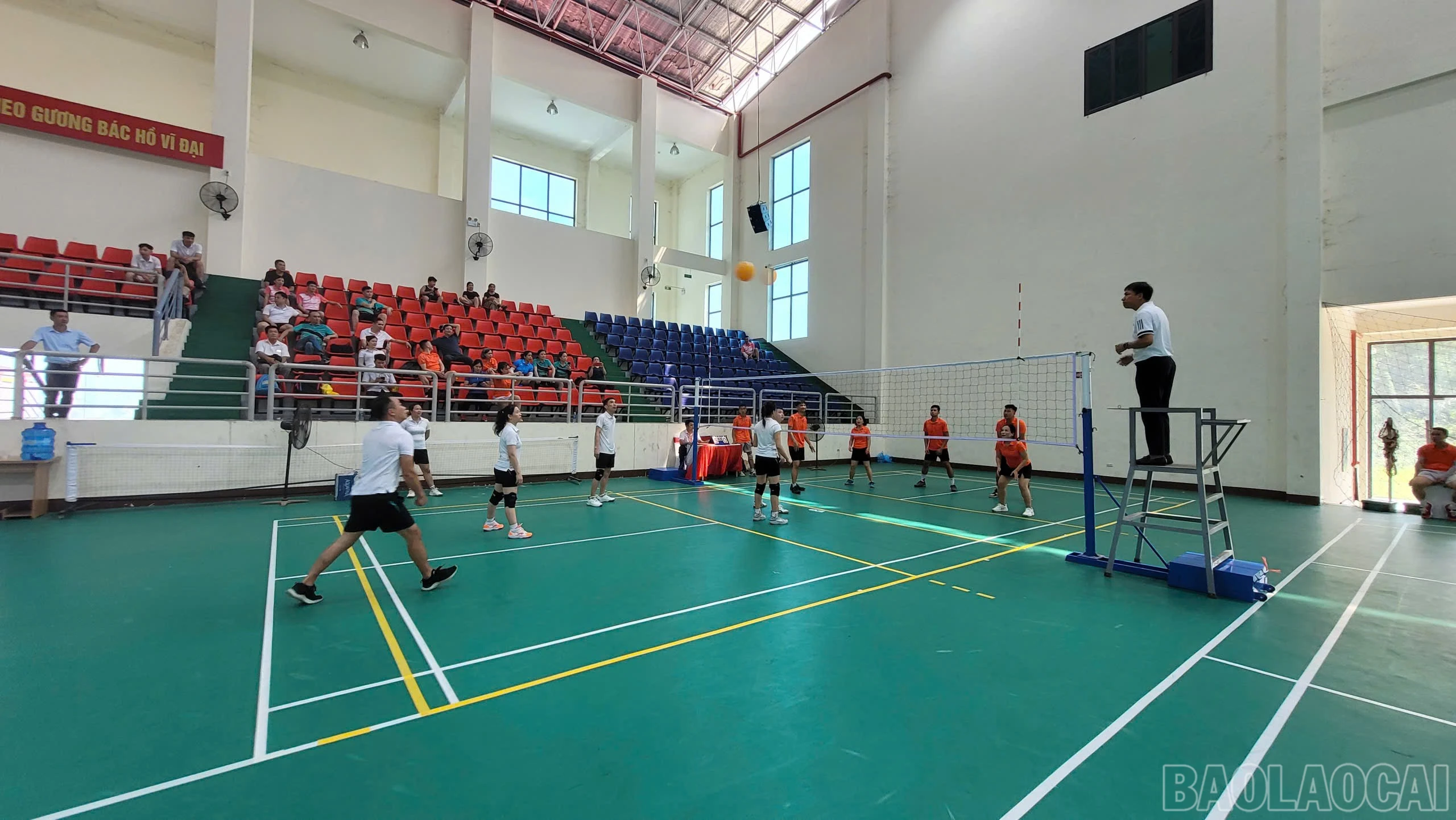 baolaocai-br_4fbfb525-54d7-4571-93cc-b8c49737639c.jpg