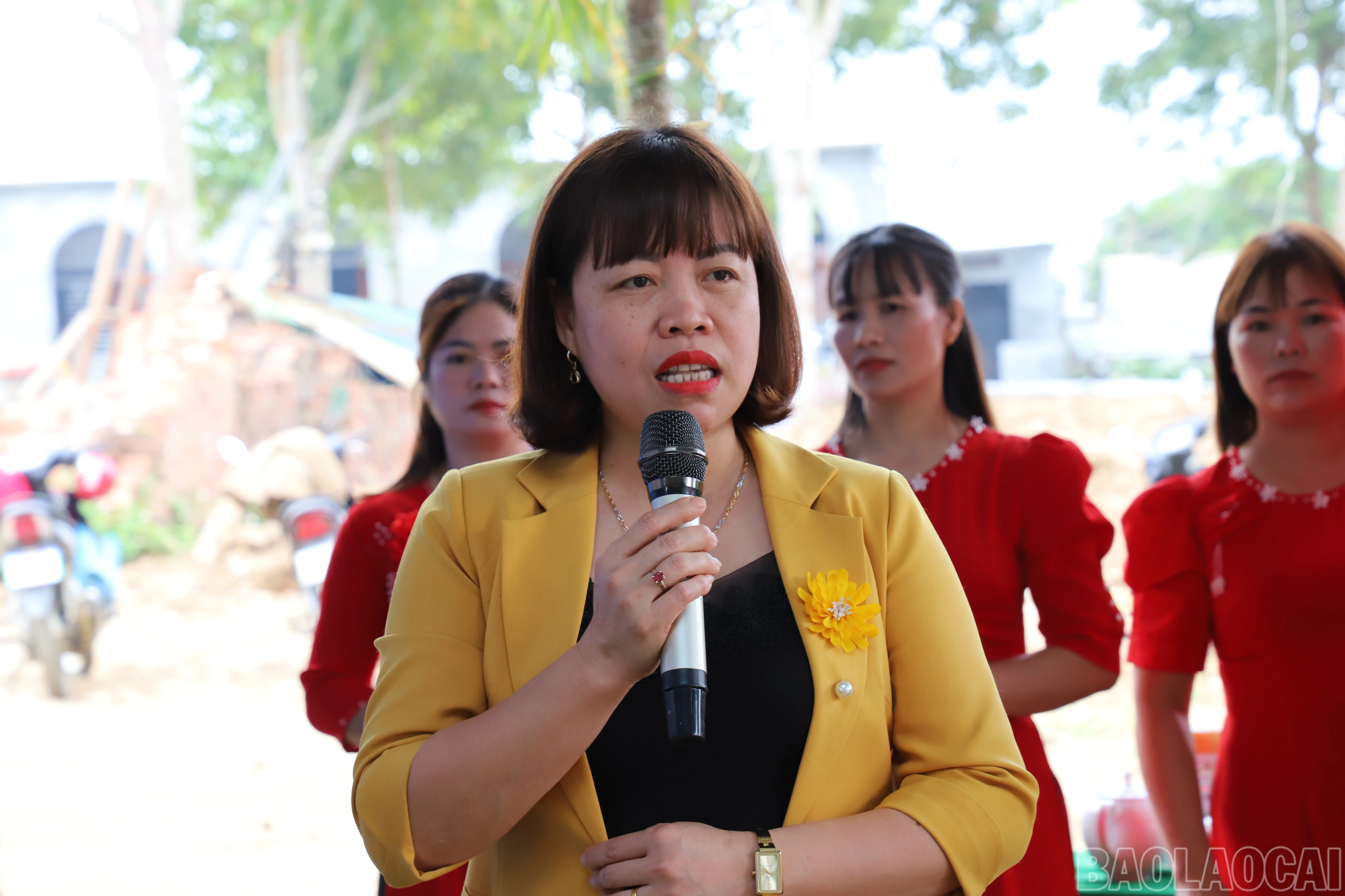 baolaocai-br_img-3404.jpg