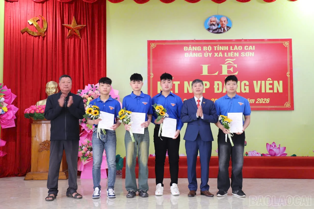 baolaocai-br_69a38607-35ab-4c6b-bcde-05642c3e1add.jpg