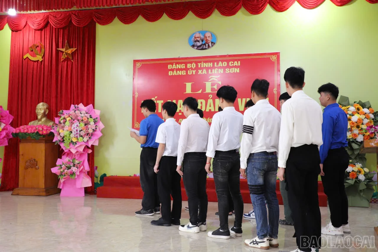 baolaocai-br_fdc6ca7c-e712-4980-abd1-1ad6e023e598.jpg