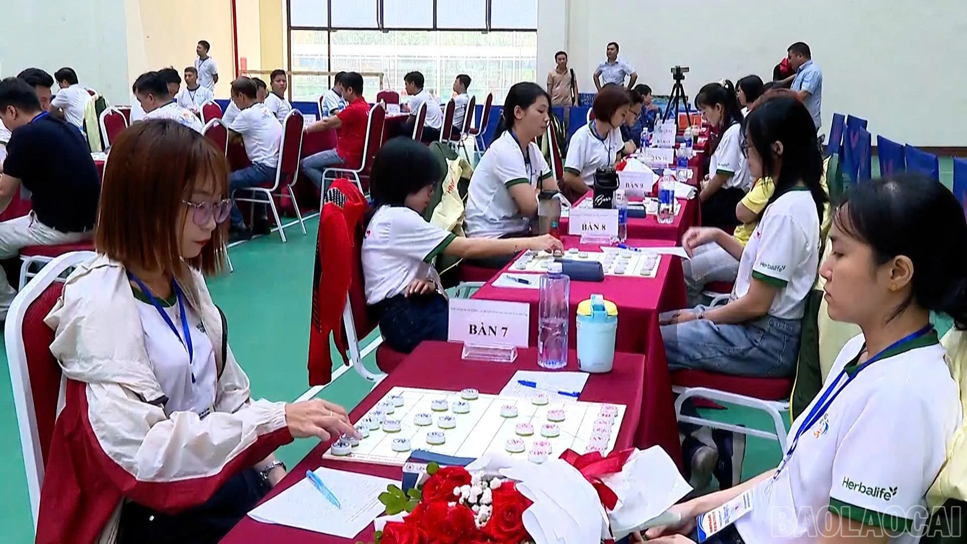 baolaocai-br_67d15a28-5107-4faf-87e2-f08a168b6104.jpg