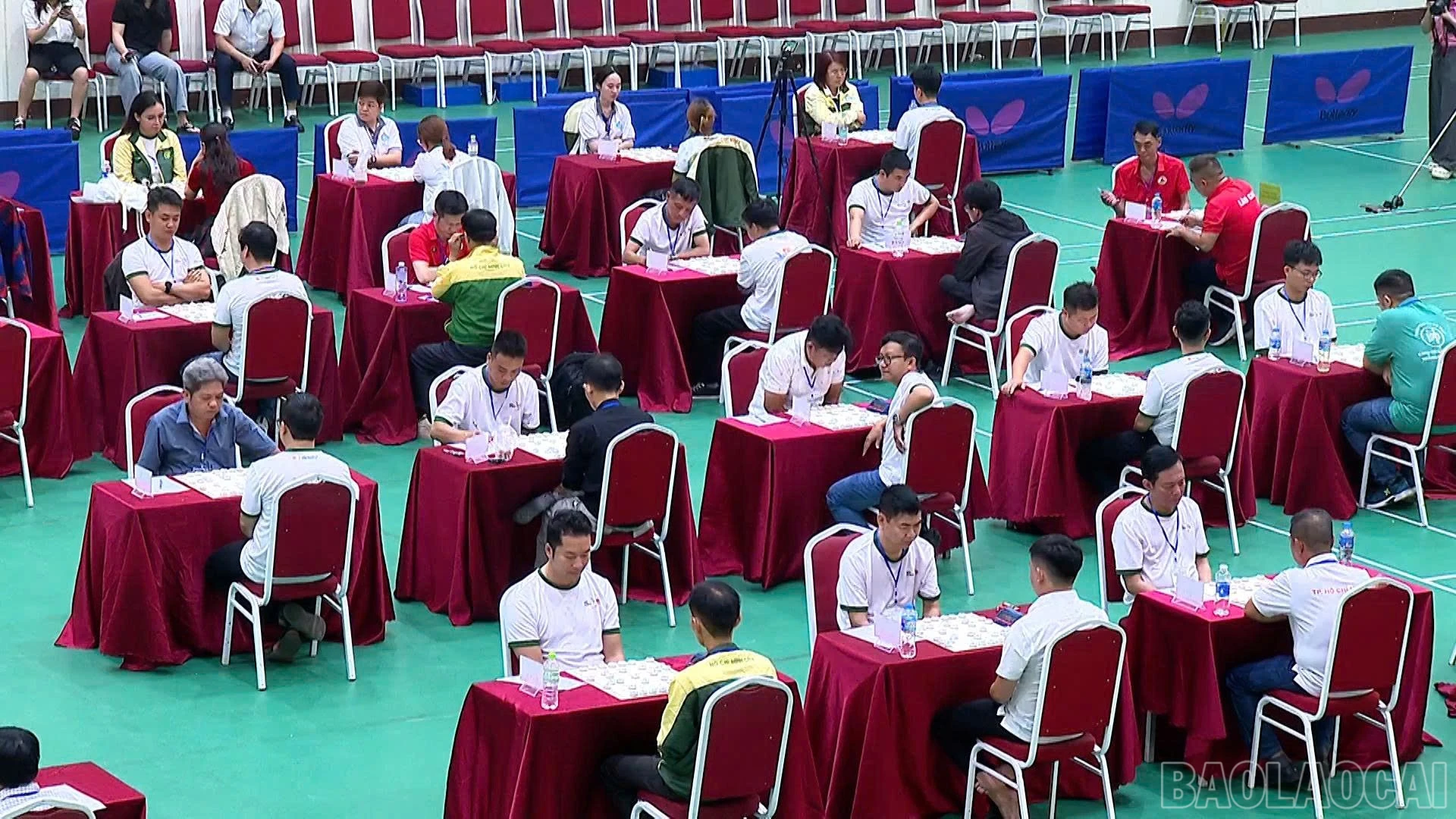 baolaocai-br_efac6393-b3dd-43c9-a40d-efe9501ecec6.jpg