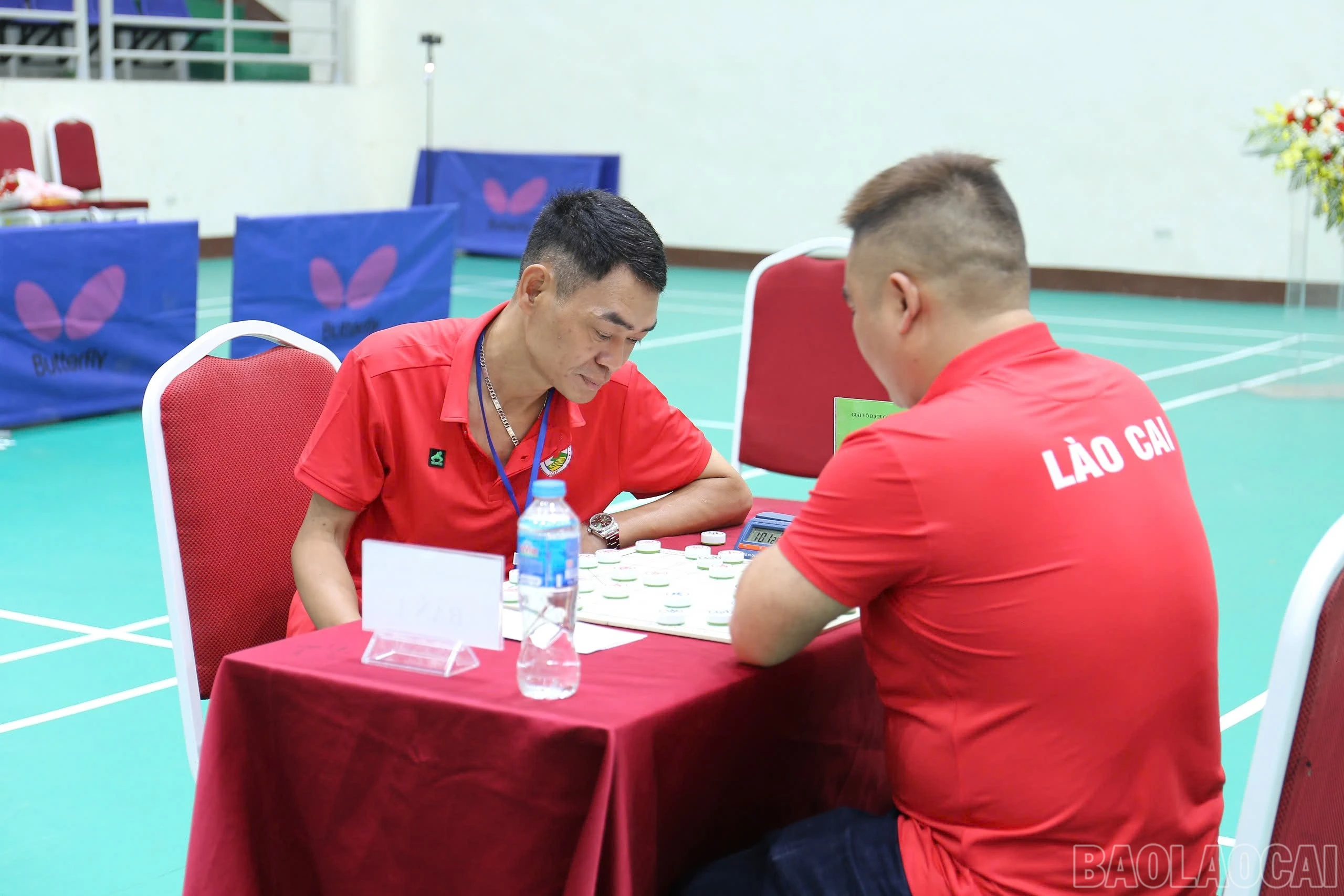 baolaocai-br_abbbf824-55a5-4bf0-9629-0026ad222ee9.jpg