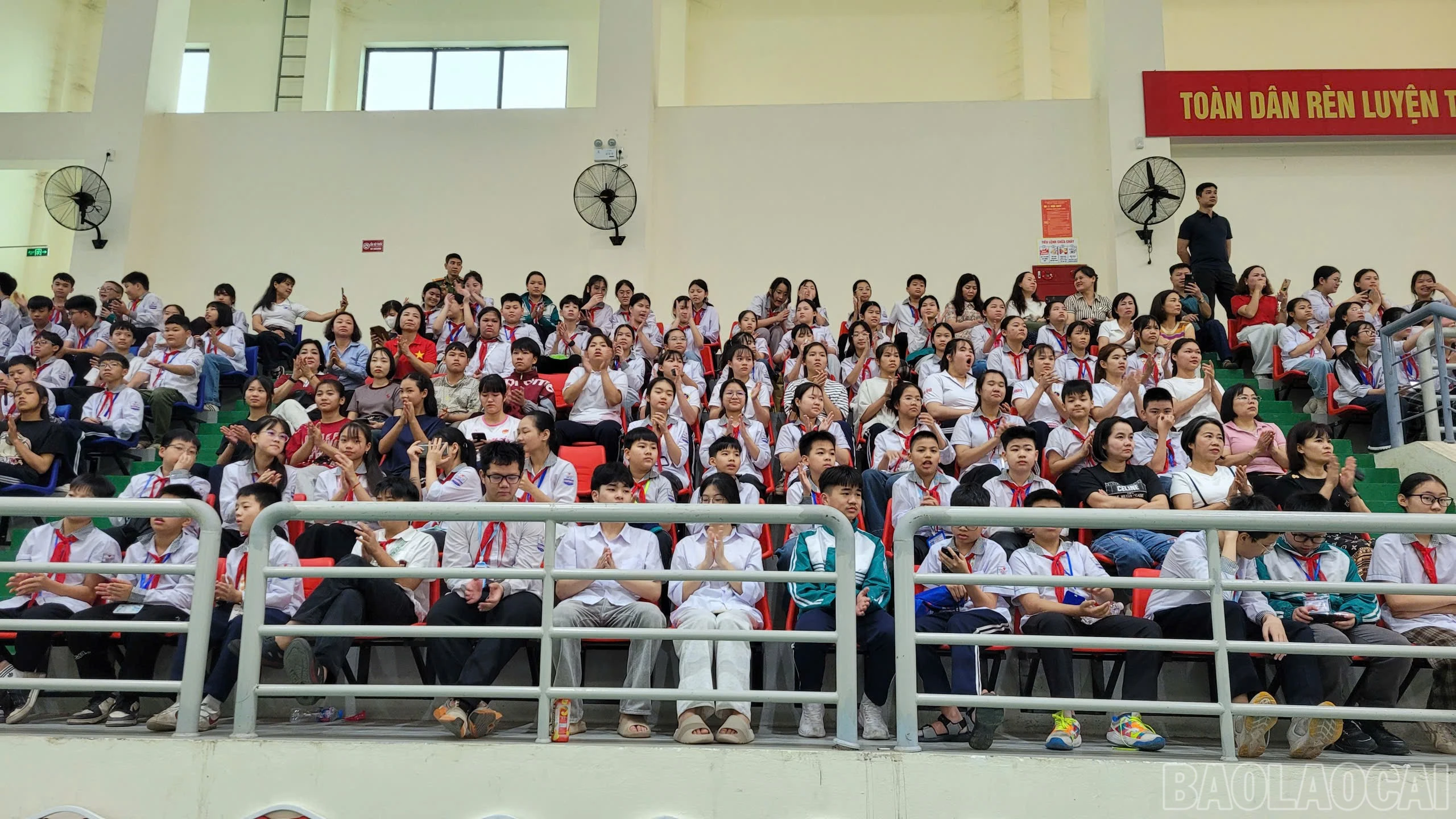 baolaocai-br_19542578-41b3-4fd4-90f4-820a8456ad2e.jpg