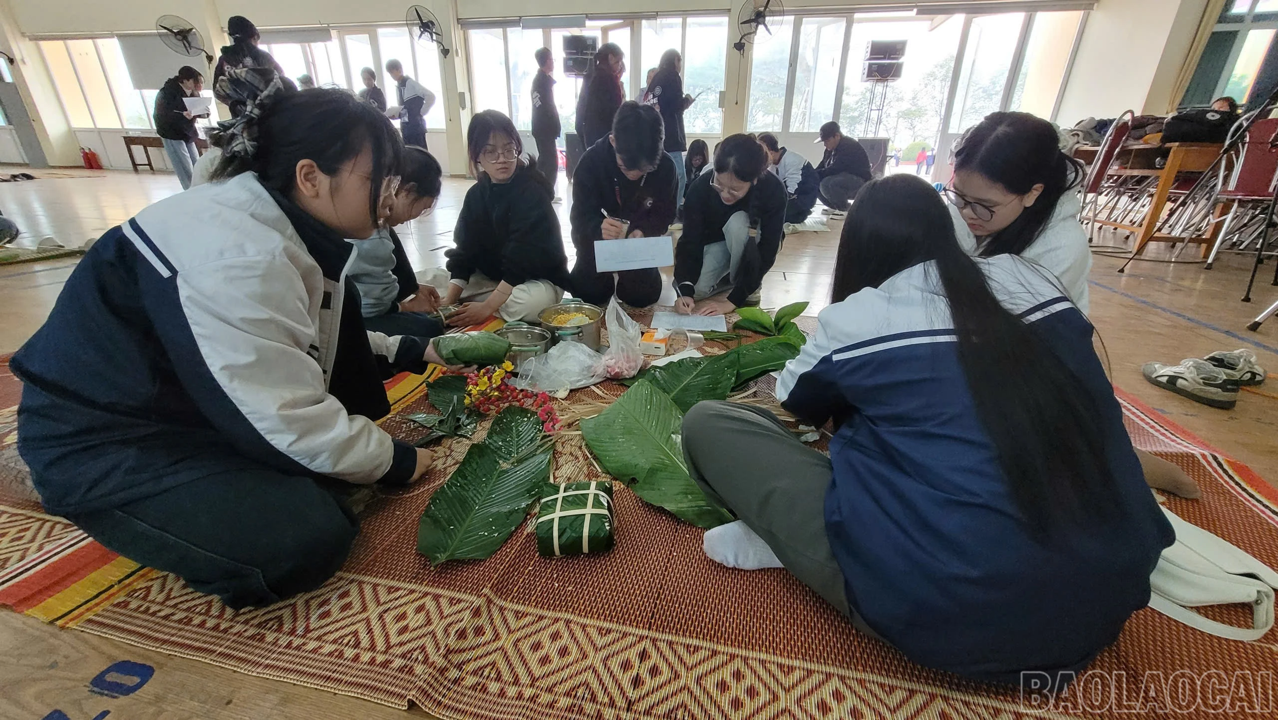 baolaocai-br_b967d9f5-facd-4a23-b8d5-025d80978d6f.jpg