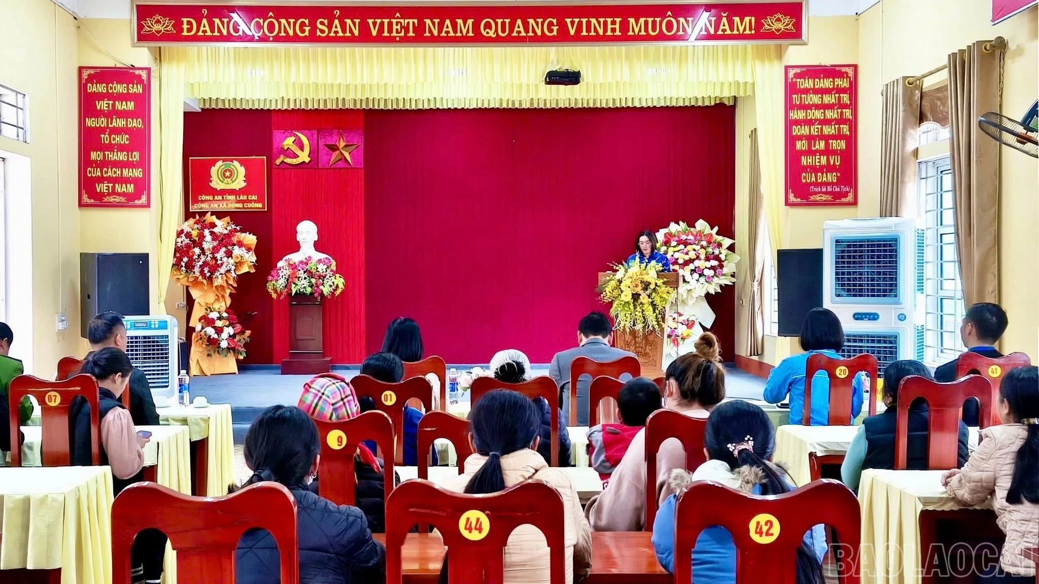 baolaocai-br_623421171-936239695598654-1627443515392932252-n.jpg