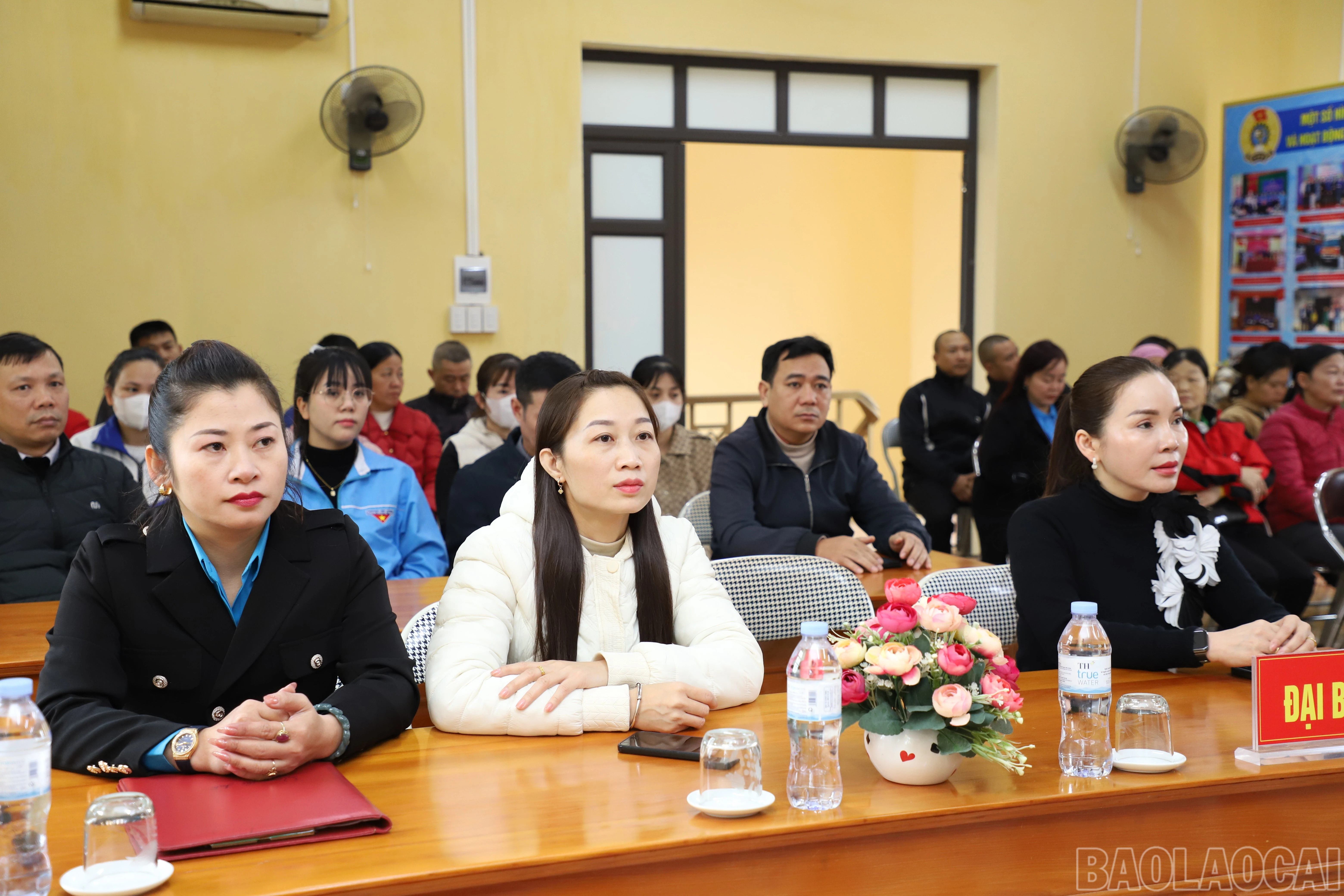 baolaocai-br_img-2906.jpg