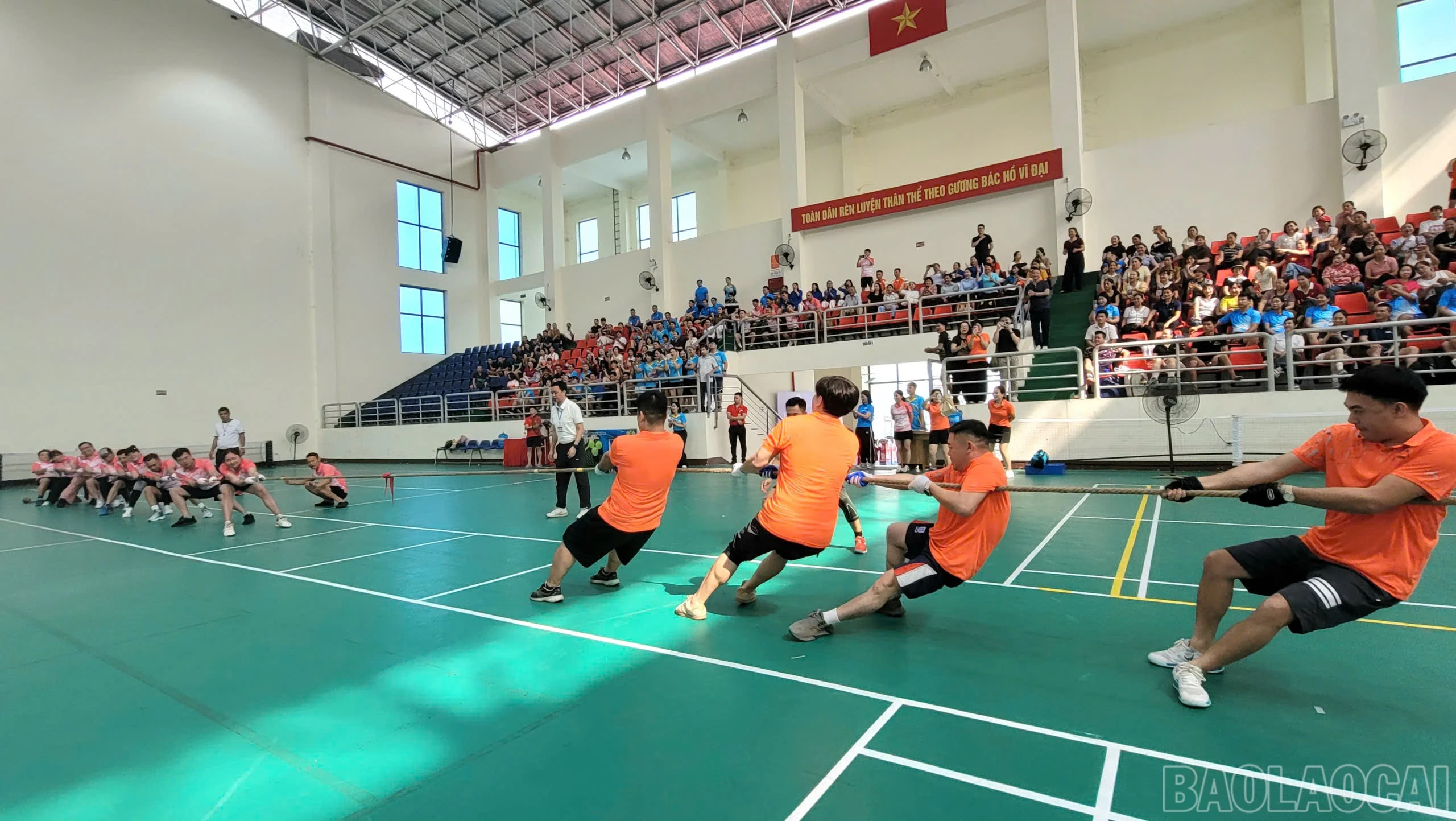 baolaocai-br_bc33ca11-2643-41ae-a820-ab12fe416556.jpg