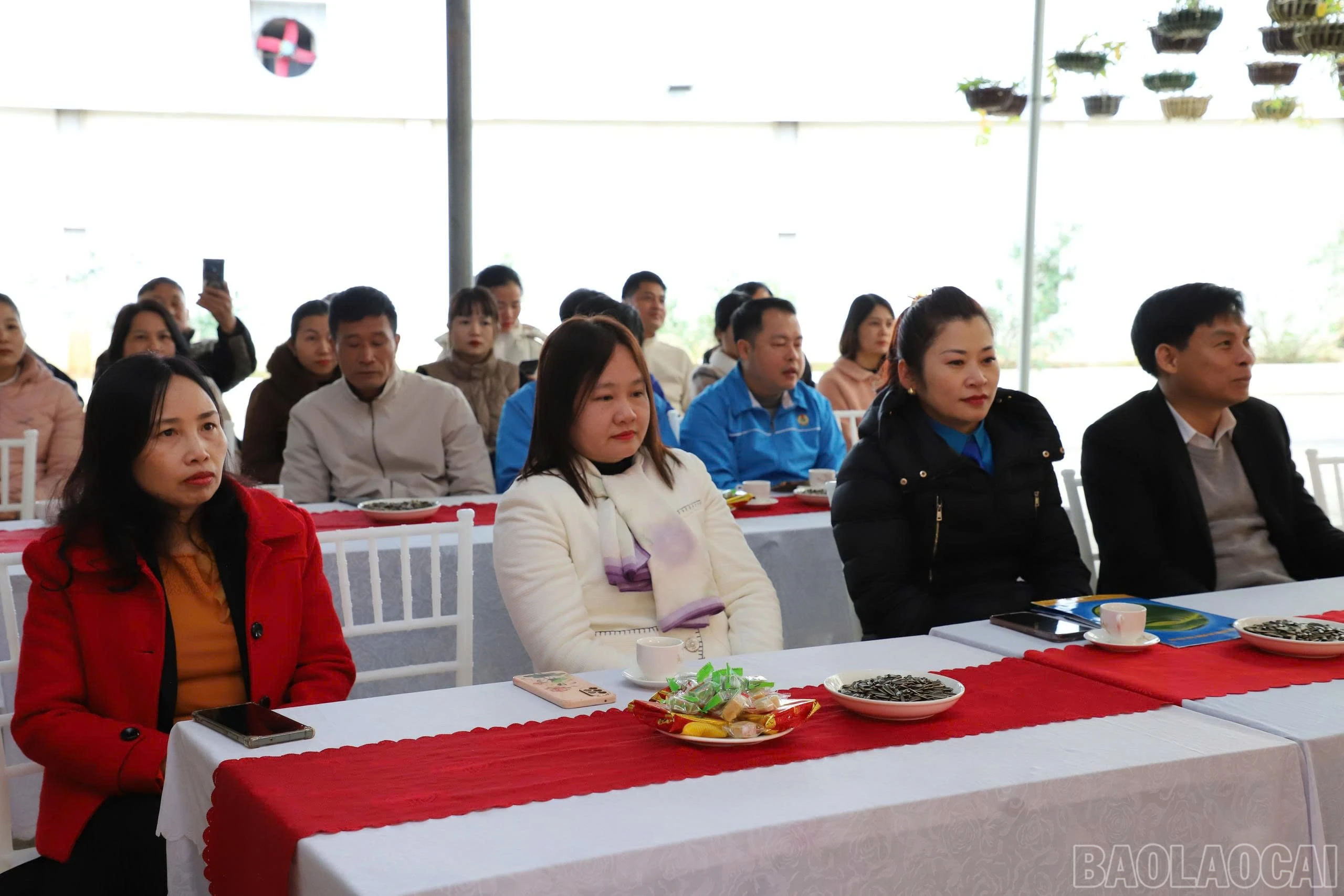 baolaocai-br_7d5f46d17380fddea491.jpg