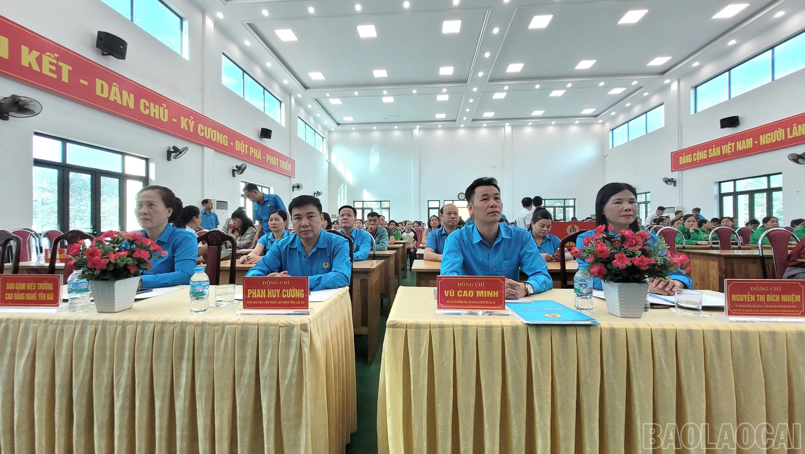baolaocai-br_d8a33192-57ff-47f1-85cc-170ddae8adfd.jpg