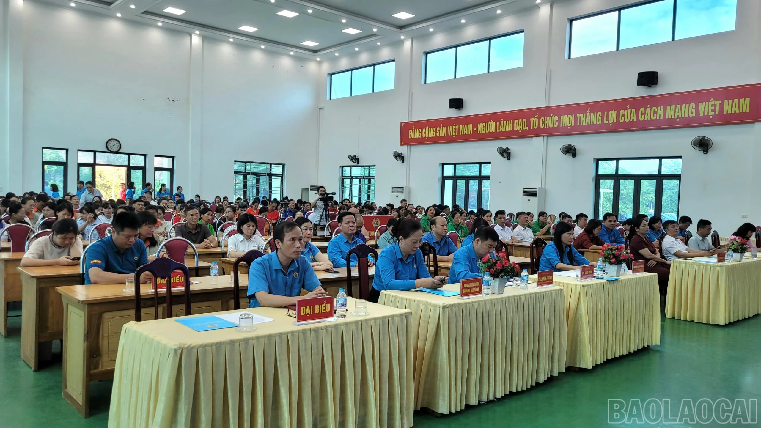 baolaocai-br_c86f4d32-ef8c-46dc-84c7-8ab0d1d0c471.jpg