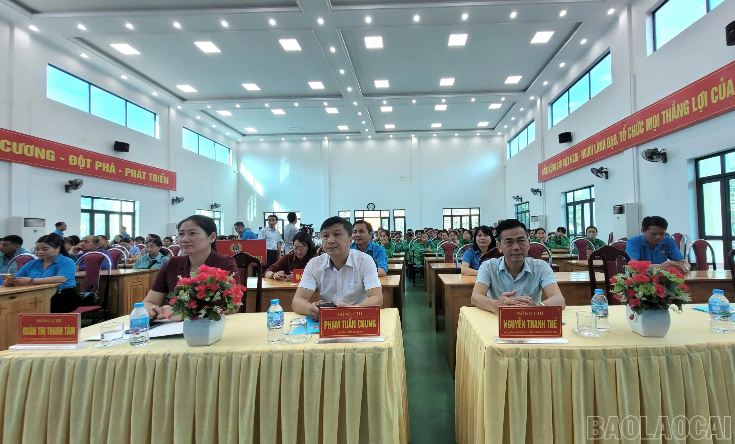 baolaocai-br_68cb8506-0a8a-49bf-8882-b8a4fec29012.jpg