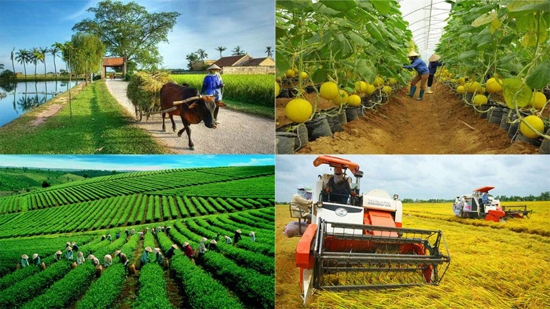 Kế hoạch triển khai Nghị quyết số 24/2021/QH15 của Quốc hội phê duyệt chủ trương đầu tư Chương trình mục tiêu quốc gia giảm nghèo bền vững giai đoạn 2021-2025.