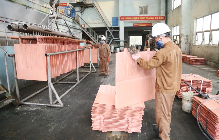 Tết Độc lập không nghỉ trên công trường, nhà máy, đơn vị ảnh 12