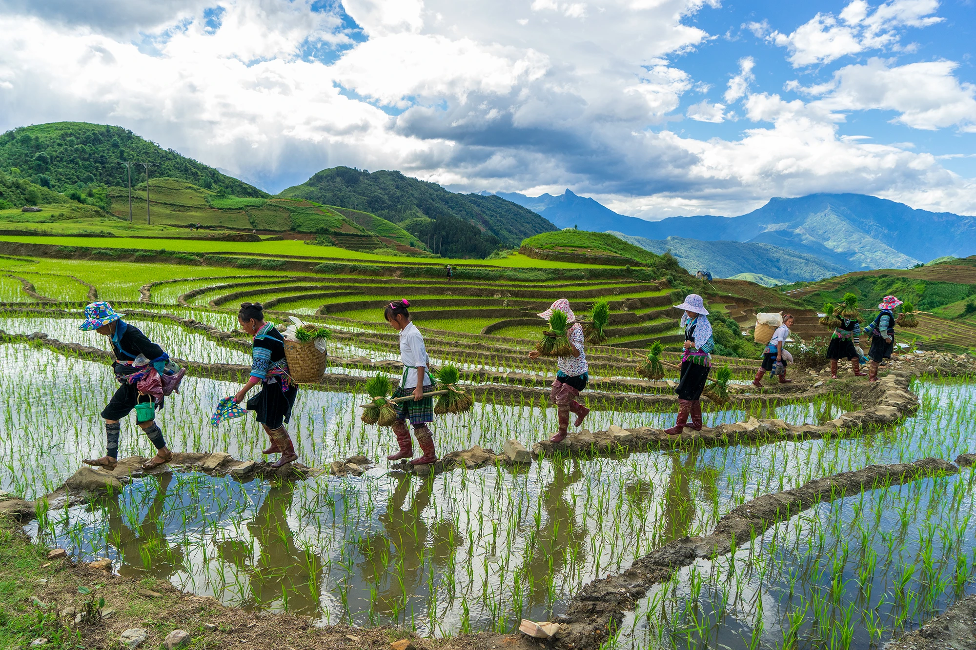 Mùa nước đổ ở vùng cao Lào Cai. Các tràn ruộng bạc thang như những tấm gương lớn phản chiếu lên trời. Sắc màu lạ. Nông dân vùng cao Sa Pa vào vụ cấy. Sau mùa nước đổ, bà con tranh thủ làm đất chuẩn bị mùa cấy. Vùng cao Bát Xát mùa nước đổ.